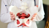 What IS the pelvic floor and what does it DO in my body?
