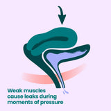 An anatomical illustration of a female pelvic cross-section, with an arrow indicating pressure on the bladder. The caption reads: 'Weak muscles can cause leaks during moments of pressure.'